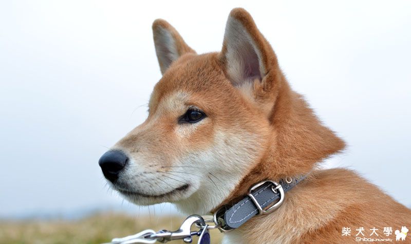 阿仔。的缺憾(原發表者:朱元宏)(相簿)