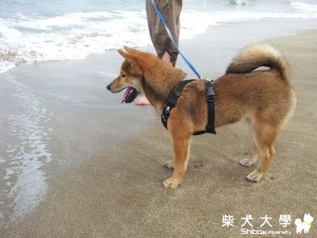 來福~白沙灣&青山瀑布一日遊^^(原發表者:tn704545)(相簿)