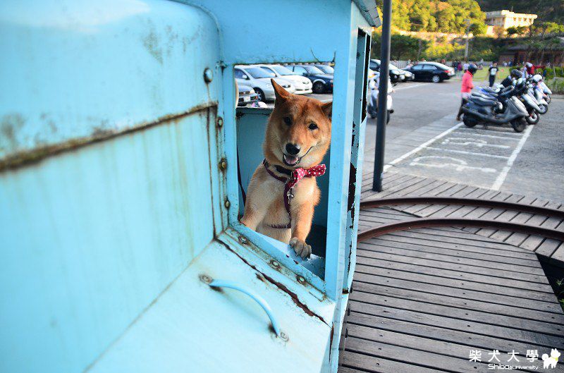 鐵道迷阿財(原發表者:bgn357)(相簿)
