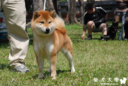 英雄榜-天城徹譽(原發表者:蔣先生)(相簿)