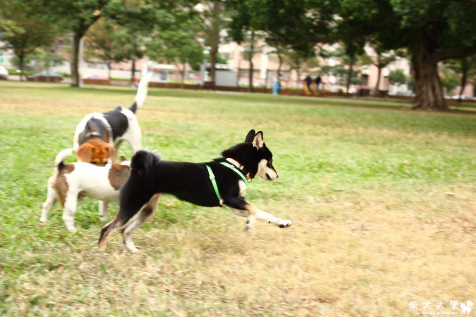 白天出門快嚇死了(原發表者:phyllisshun)(相簿)