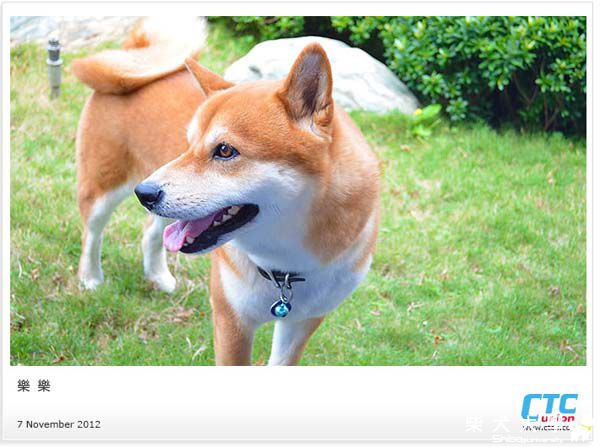 活潑又健康的樂樂(原發表者:micro)(相簿)