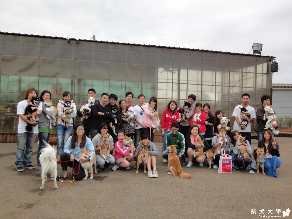 台中柏林寵物餐廳11月生日趴(原發表者:可樂果媽)(相簿)