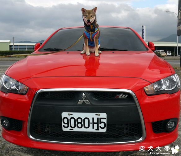 加祿寶帶大家出去玩~!(原發表者:darren0529)(相簿)