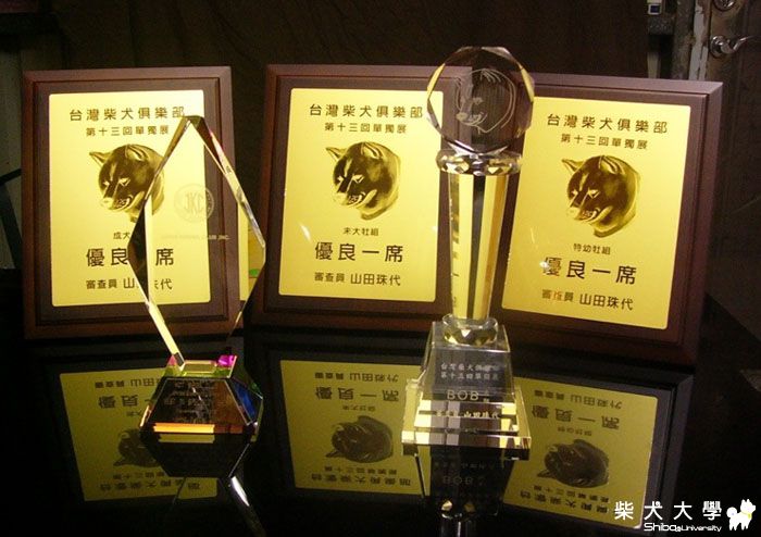 最新出爐-英雄榜(原發表者:蔣先生)(相簿)