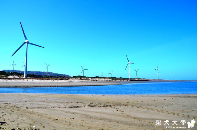 50件柴柴一生必做的事之Nicky沙灘放繩晴天篇(原發表者:Nicky拔)(相簿)