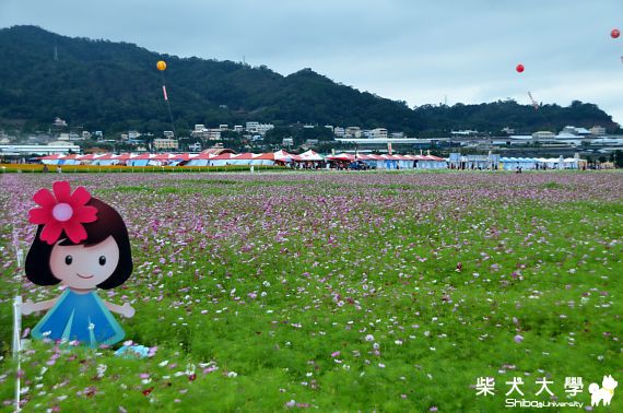 新社花海(原發表者:Nicky拔)(相簿)