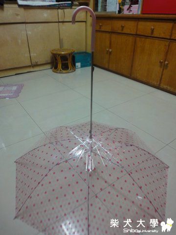 x創的雨傘改造(原發表者:澎將哥)(相簿)