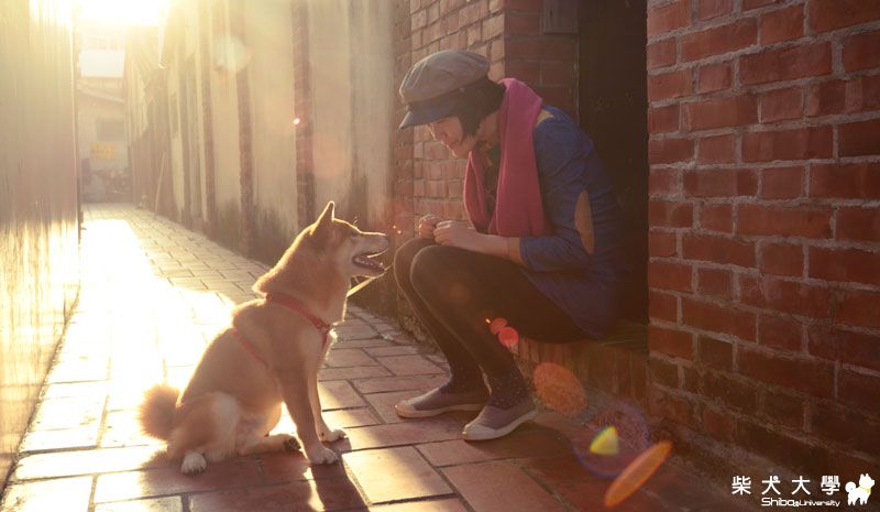 阿仔。好久不見(原發表者:朱元宏)(相簿)