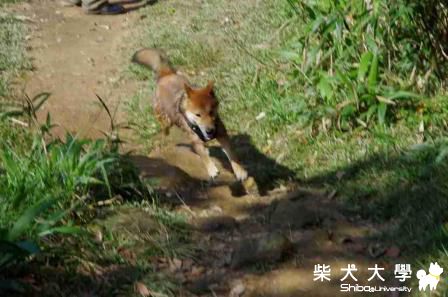 20121215來福遊新山夢湖&拱北殿&碧山巖(原發表者:tn704545)(相簿)