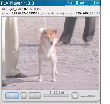 【名犬欣賞】日本犬懐古  幸鐵號(原發表者:nychang)(影片)