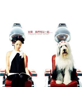 【北部】與愛犬一起享受salon - 我們好好(原發表者:doguni)(環境管理)