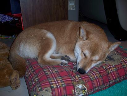 心痛的回憶(原發表者:Nono麻)(綜合討論)