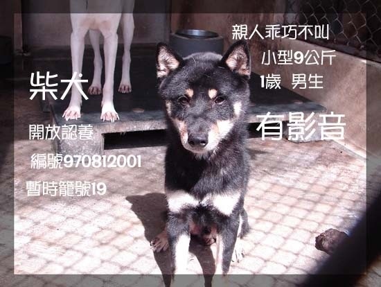 我與RUMA(原發表者:屁屁麻)(綜合討論)