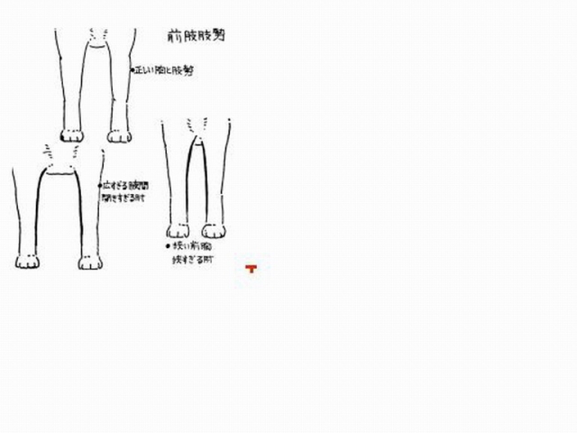關於夾胸(原發表者:nychang)(綜合討論)