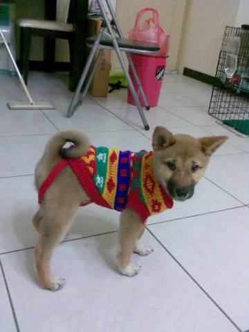 我家coffee是吃不胖嗎??(原發表者:coffee拔、麻)(環境管理)