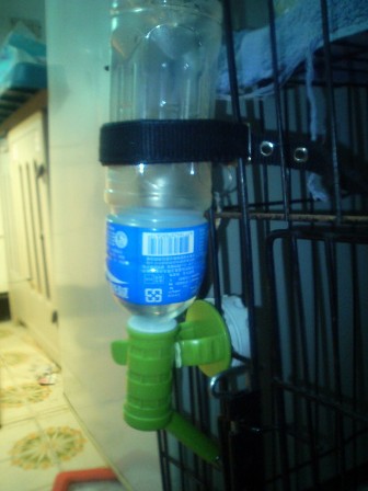 飲水器壞了很多支…(原發表者:薇薇晡晡地拔拔)(綜合討論)
