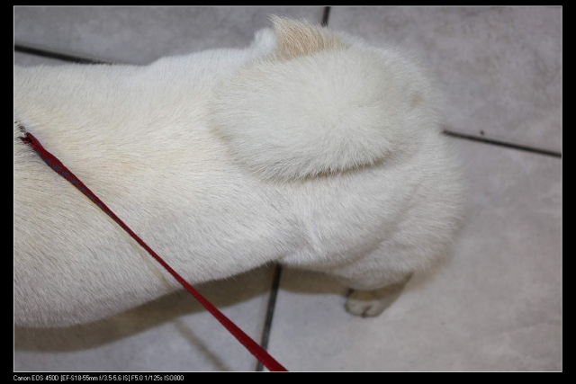 DB的身材怪怪的(原發表者:破百家)(環境管理)