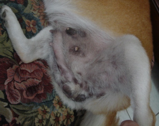 該怎麼辦才好(原發表者:小寶貝姐)(環境管理)