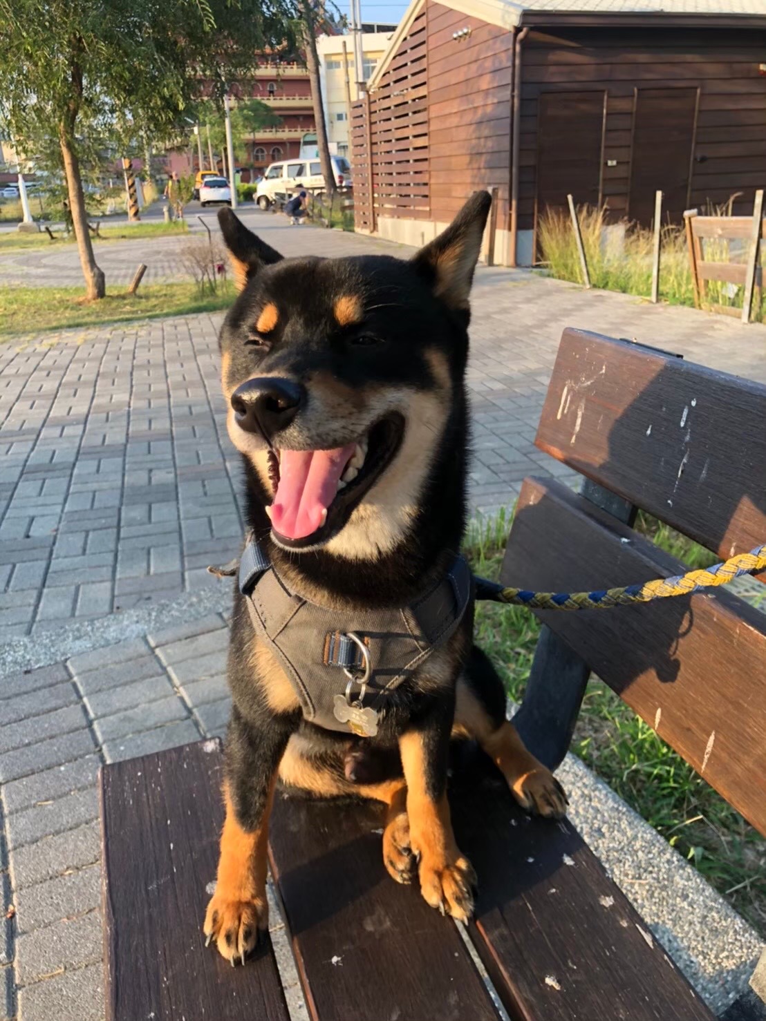 [相簿]大家好 是黑豆 