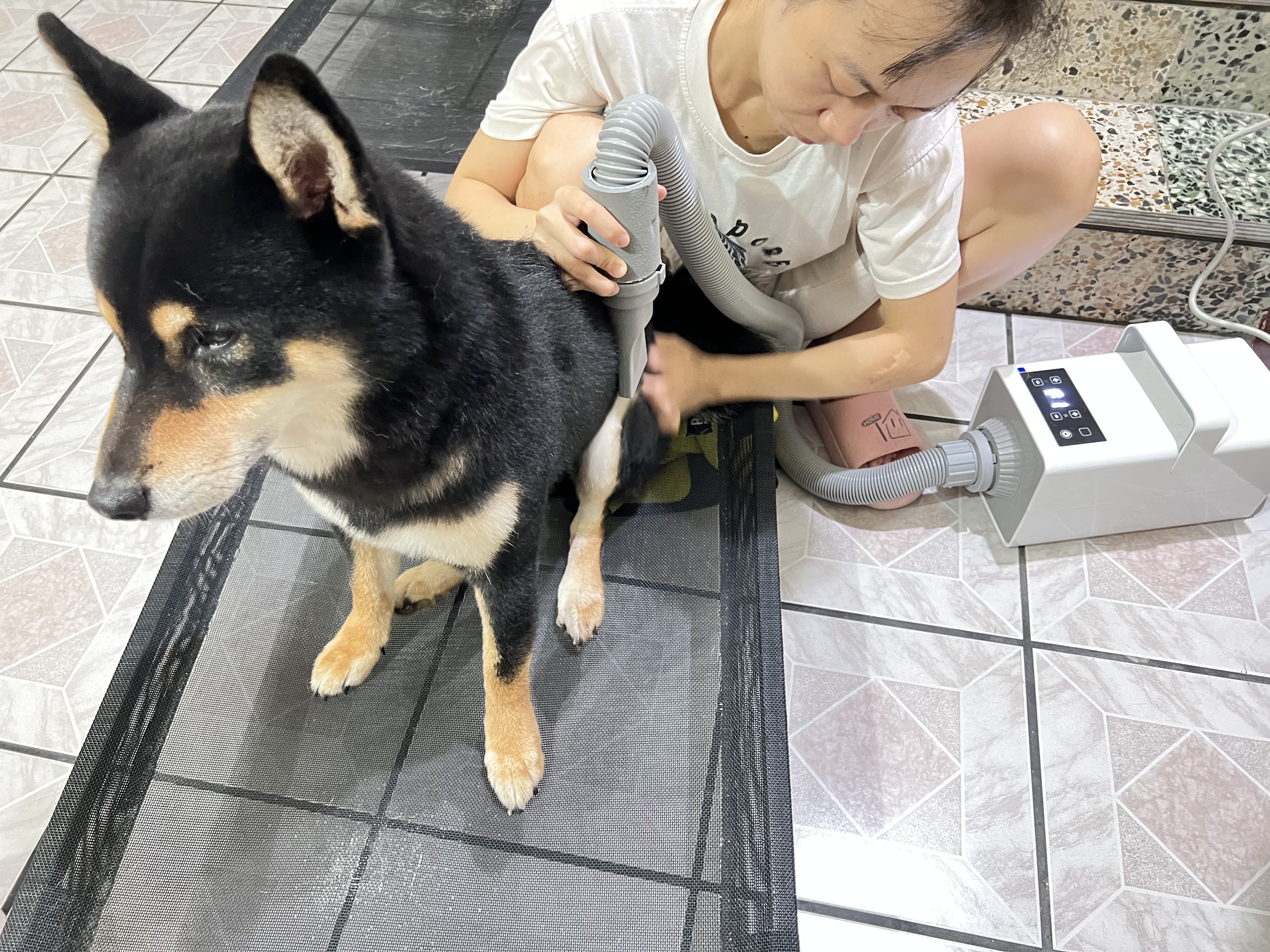 [開箱分享]延長保固活動-吹水機