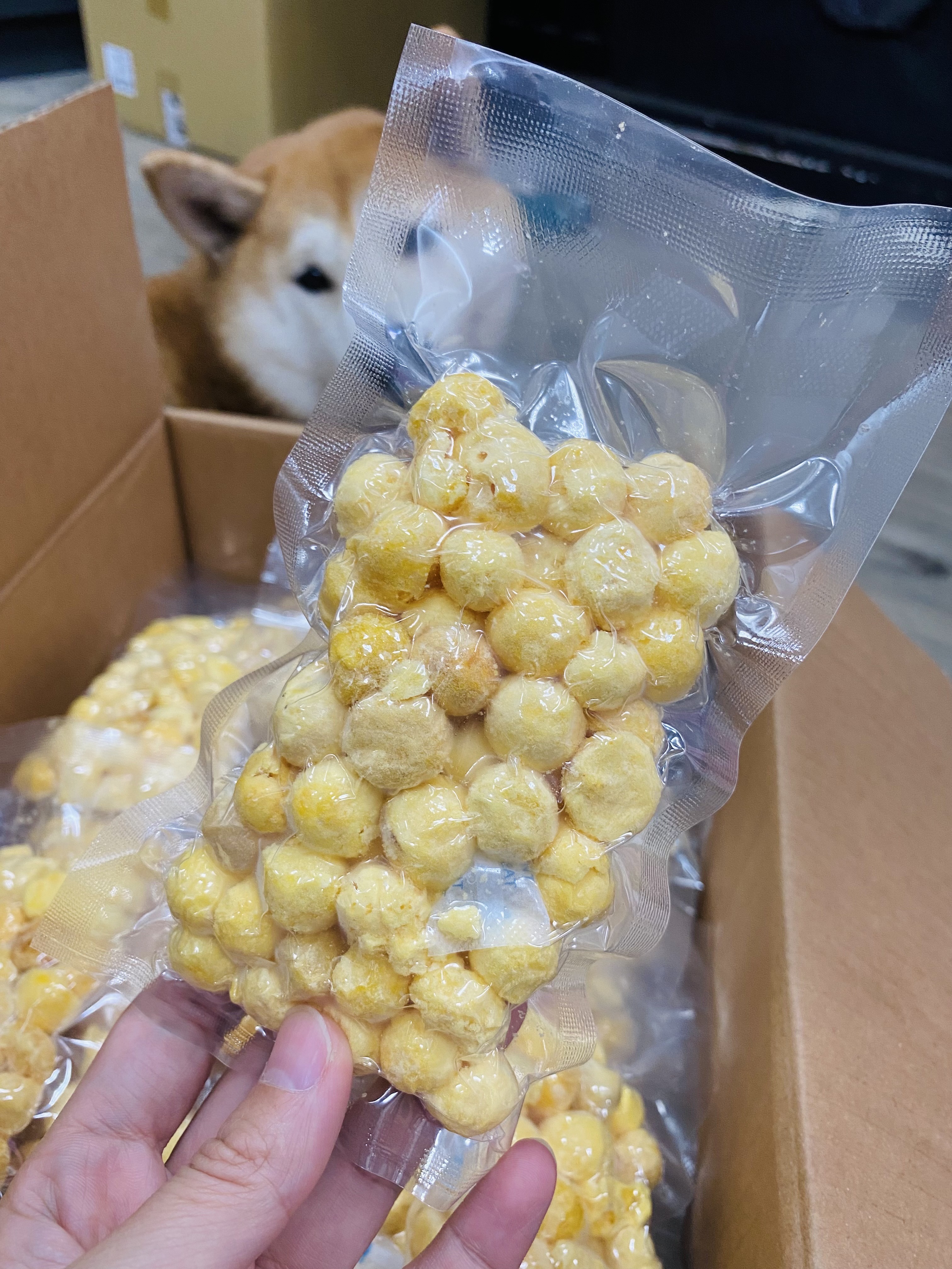 [相簿]新鮮到貨的鱉蛋~圓潤飽滿好讚阿!!!!