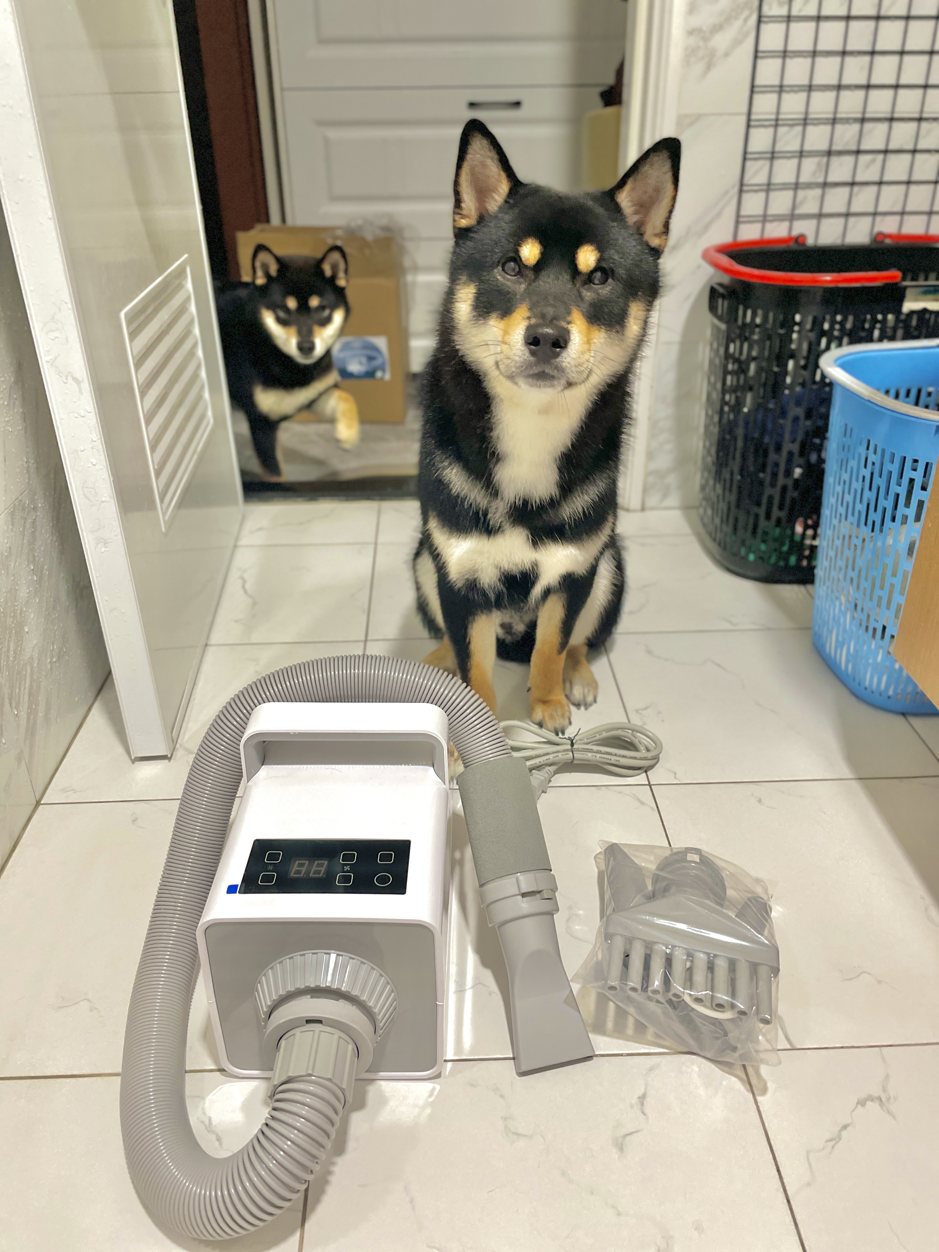 [開箱分享]延長保固活動：ビール(啤酒)吹水機分享