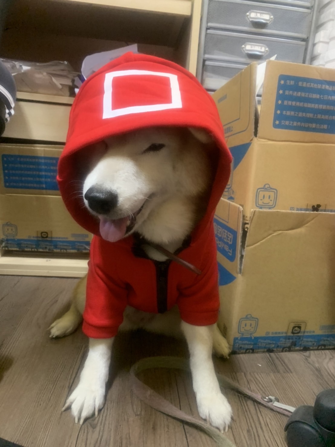 [相簿]跟風一下-魷魚柴