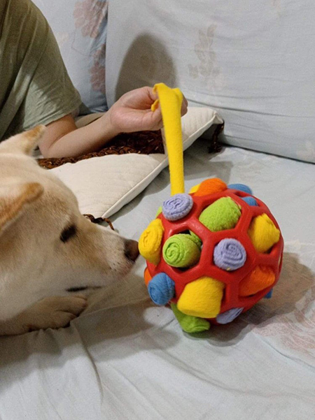 [開箱分享]滿足柴犬好奇心的嗅聞玩具｜嗅聞炸炸球