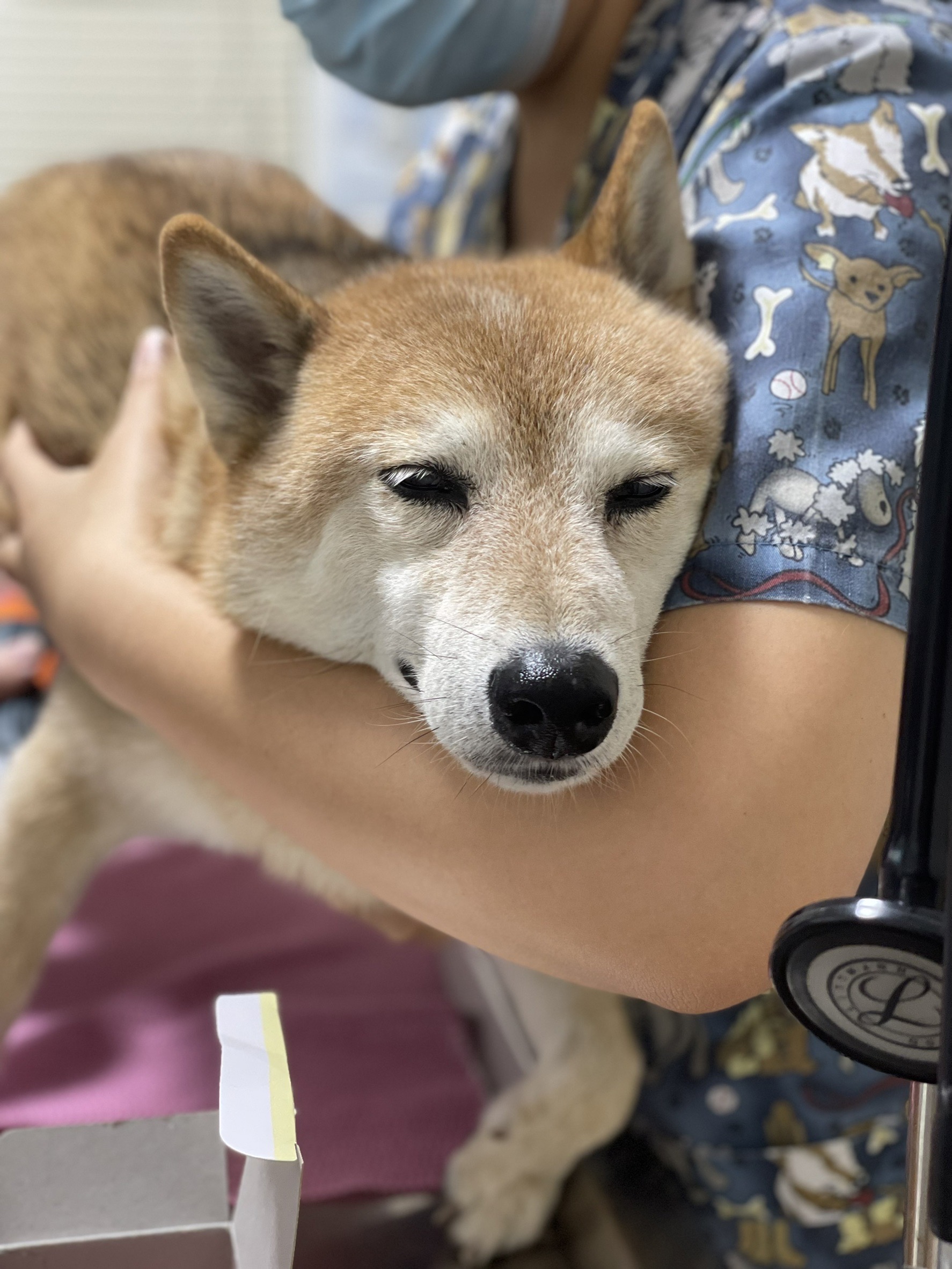 [開箱分享]老年柴關節保健分享