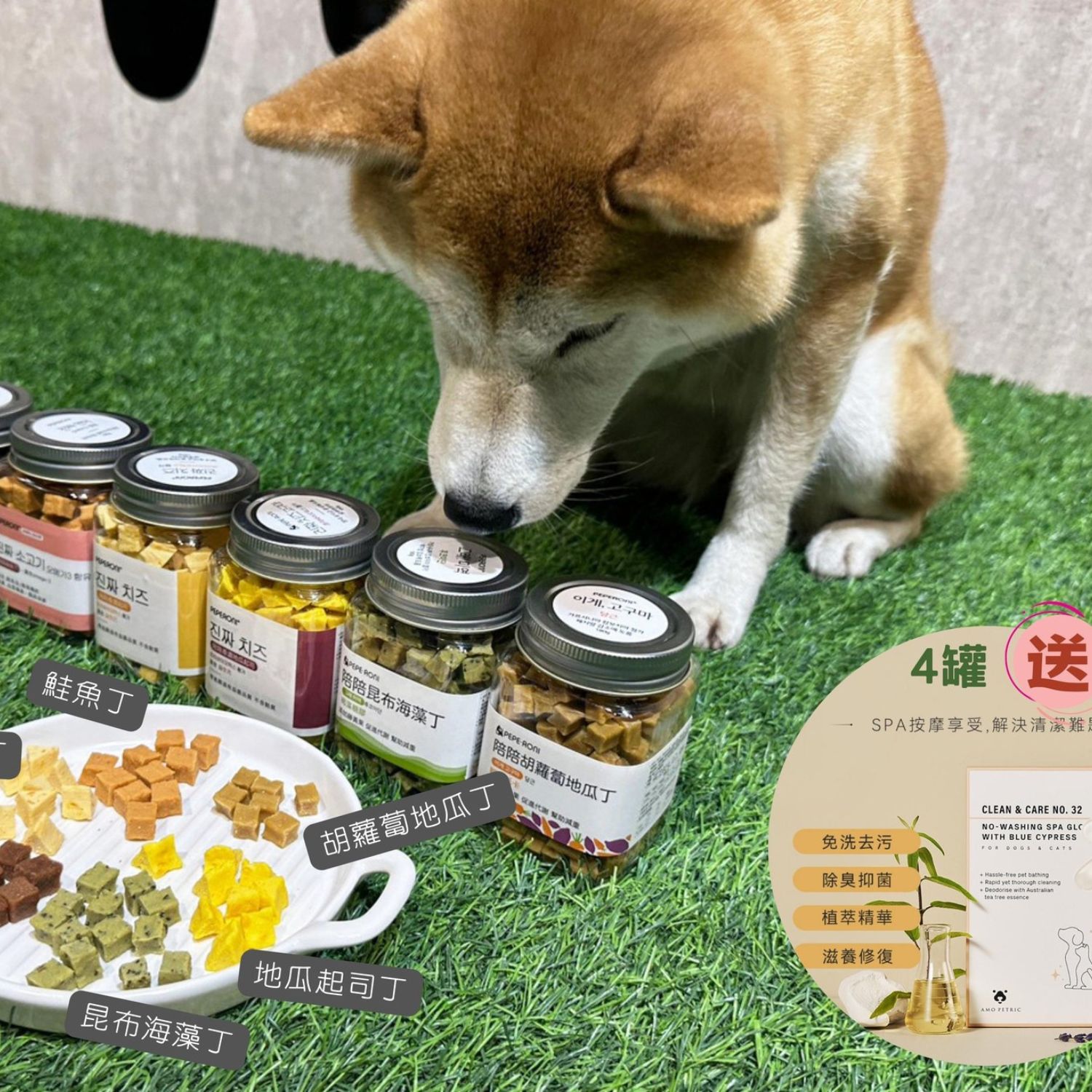 [優惠活動]韓國原裝進口 Peperoni陪陪肉肉寵物零食 開團