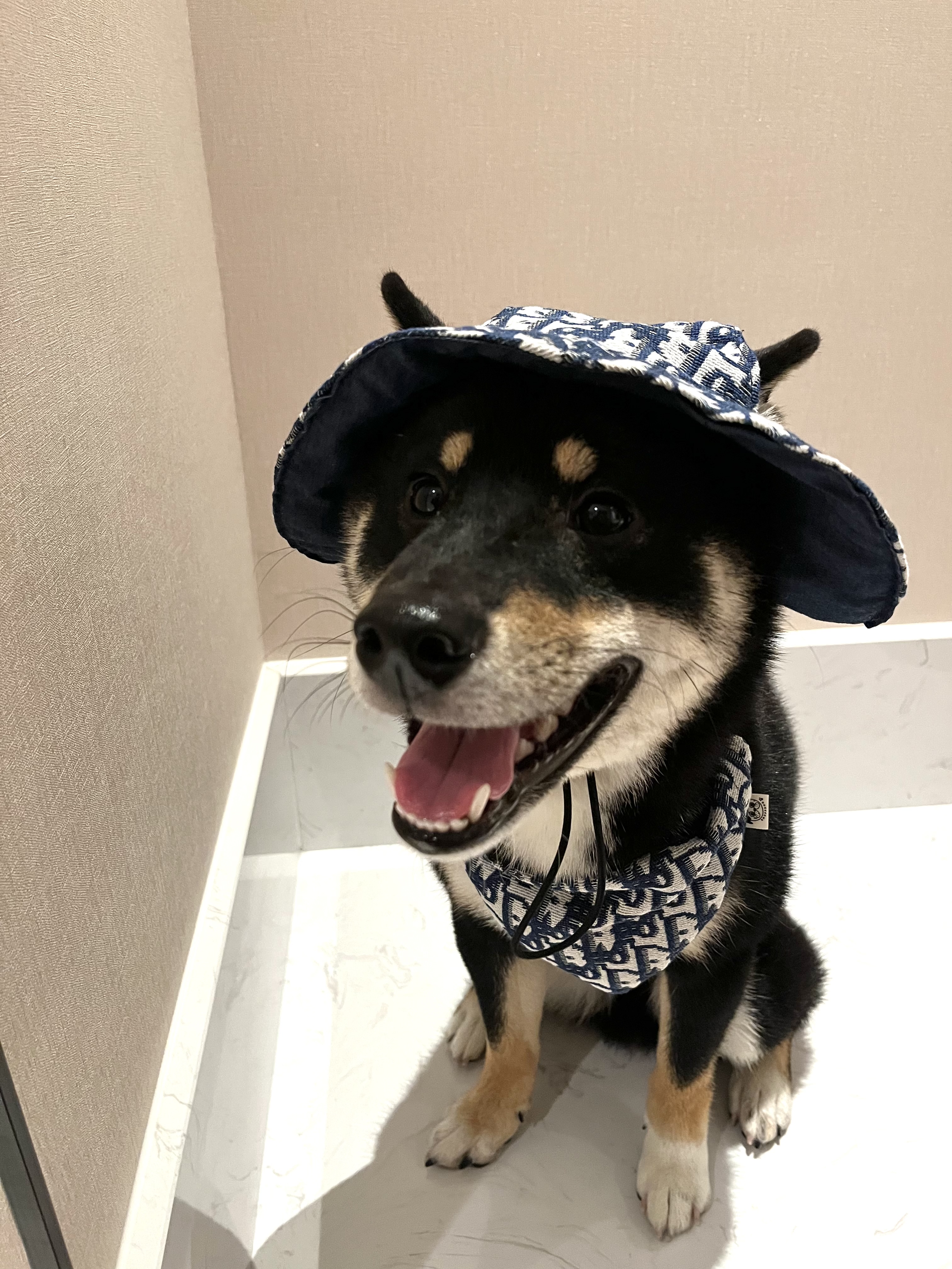 [北部]【台北大安區 Yoh曜日義式餐酒館】柴柴聚會 社會化party