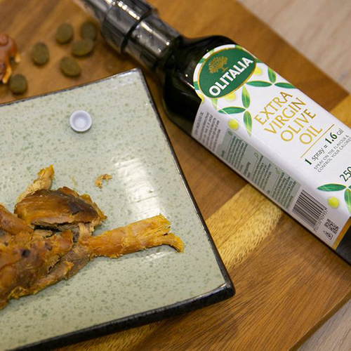 [品牌活動]柴老大帶你去旅行手提箱