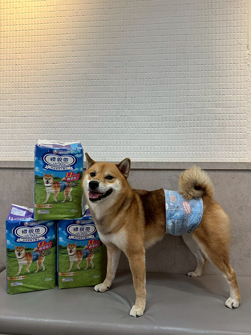 [優惠活動]雙十一優惠‼️嬌聯禮貌帶｜嬌聯寵物 Unicharm PET