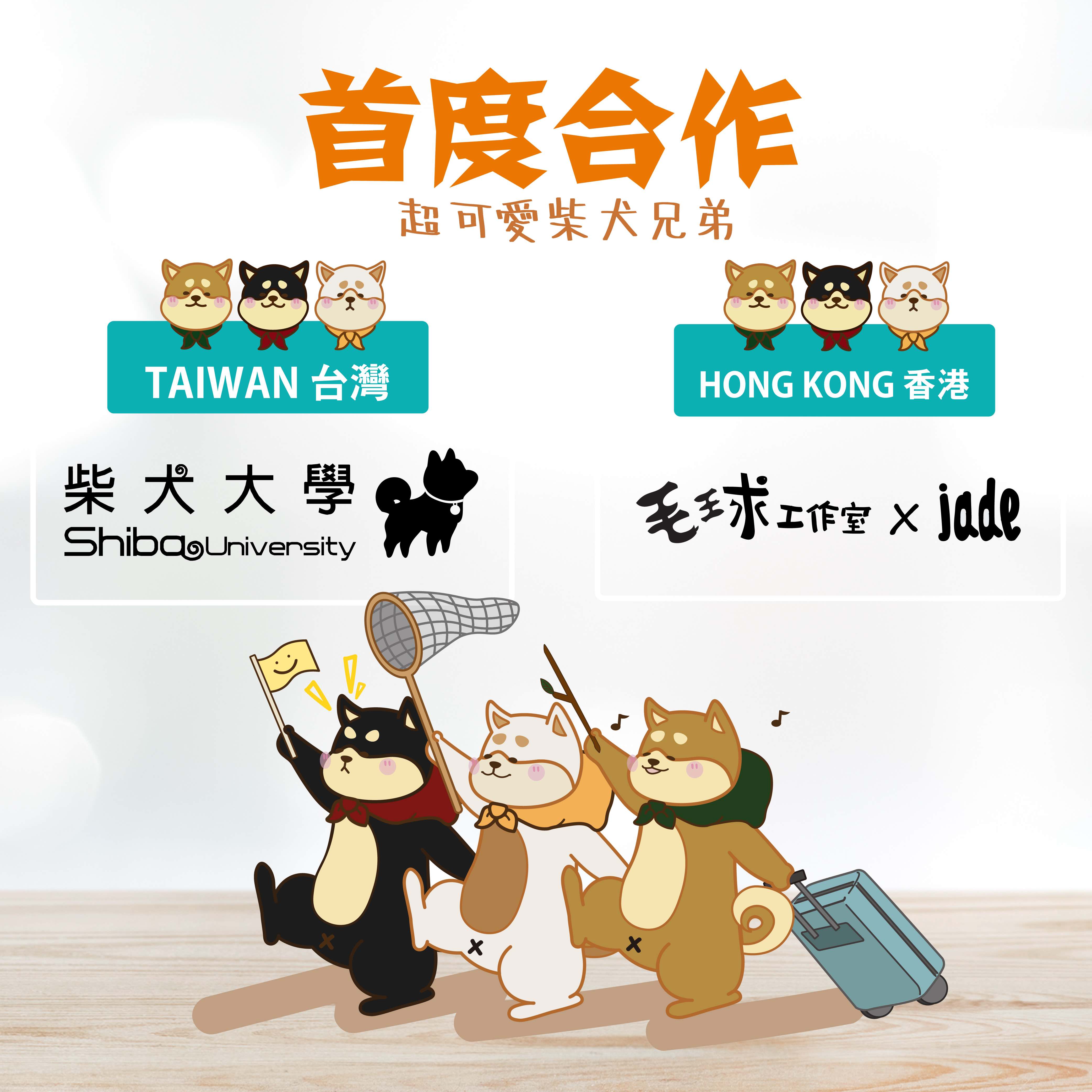 [品牌聯合]柴犬大學 x 香港毛球工作社 首度合作