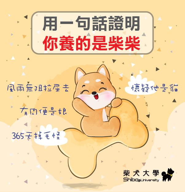 [品牌活動]用 #一句話證明你養的是柴柴