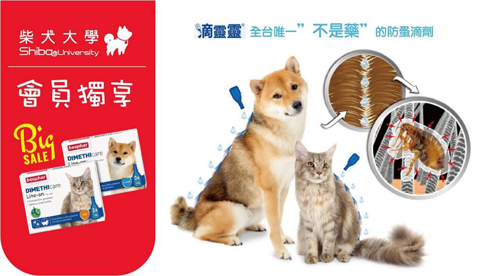 [品牌聯合]全台唯一不是藥的防蚤滴劑