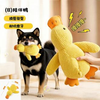 柴犬大學 寵物玩具大集合 發聲啾啾/耐咬紓壓/藏食益智/拉扯互動        