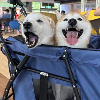 三秒速收寵物推車    