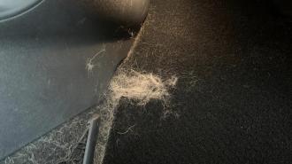 養柴環境清潔必備 除毛神器      