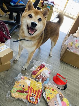 柴犬大學 澳洲GiGwi 翻轉啾啾玩具 藏食嗅聞玩具 寵物玩具 狗狗玩具 