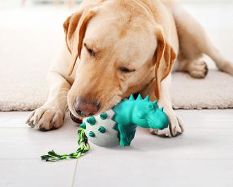 耐咬潔牙玩具-恐龍     