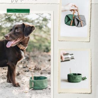 寵物外出旅行碗                