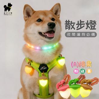 柴犬大學 寵物外出散步燈(今天要可愛篇) 臻果散步燈 蝴蝶結散步燈(寵物用品/配件/玩具)