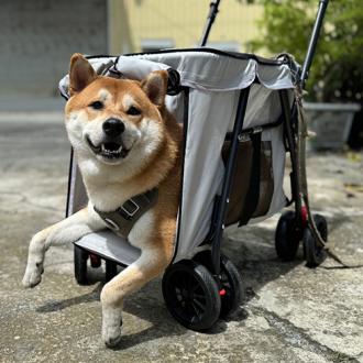 三秒速收寵物推車  