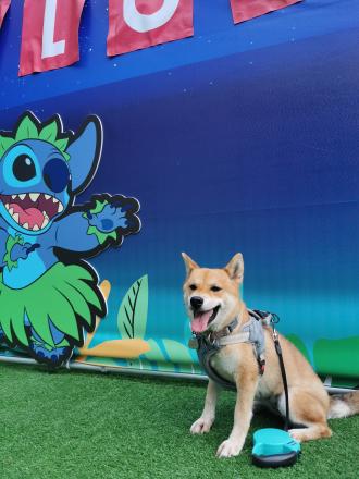 捲捲媽帶著 Angel來報到囉！