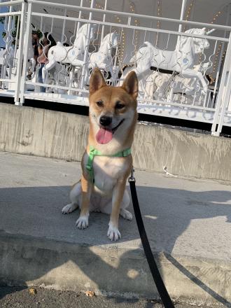 憲憲帶著滷蛋來報到囉！