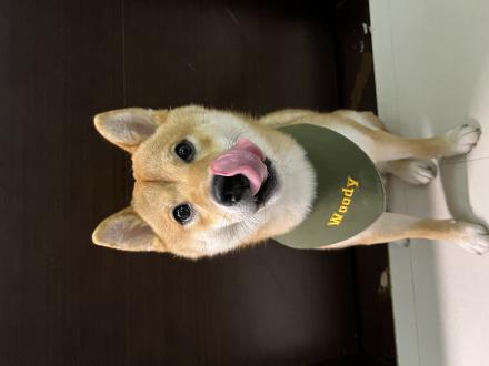 Juan Jing Syuan帶著Woody來報到囉！