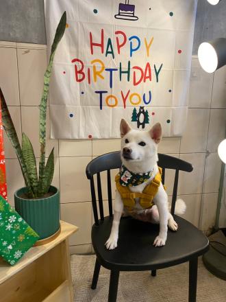 冠J帶著Yammy來報到囉！