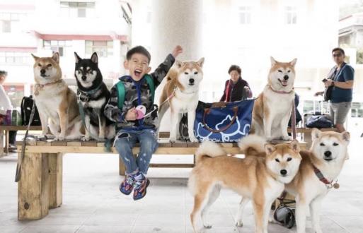 柴老大帶著歐歐、嗨嗨、YOYO、屁屁、腿腿、cola來報到囉！